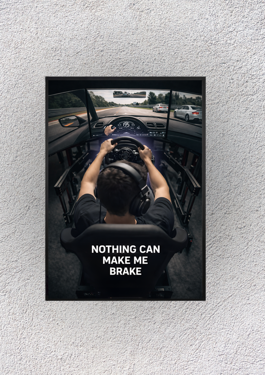 Cockpit Simulation "Nothing Can Make me Brake" Wall vision - Magnora
