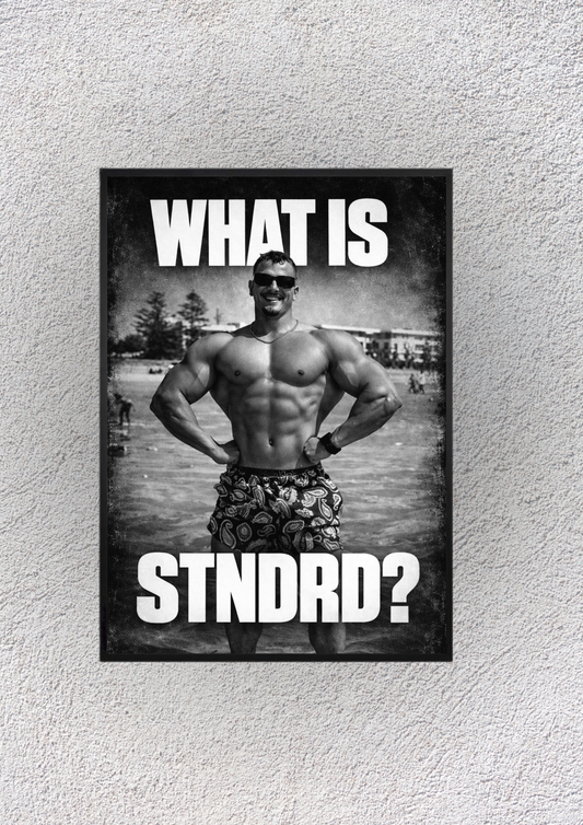 Mehdi "What Is Stndrd?" Wall Vision - Magnora